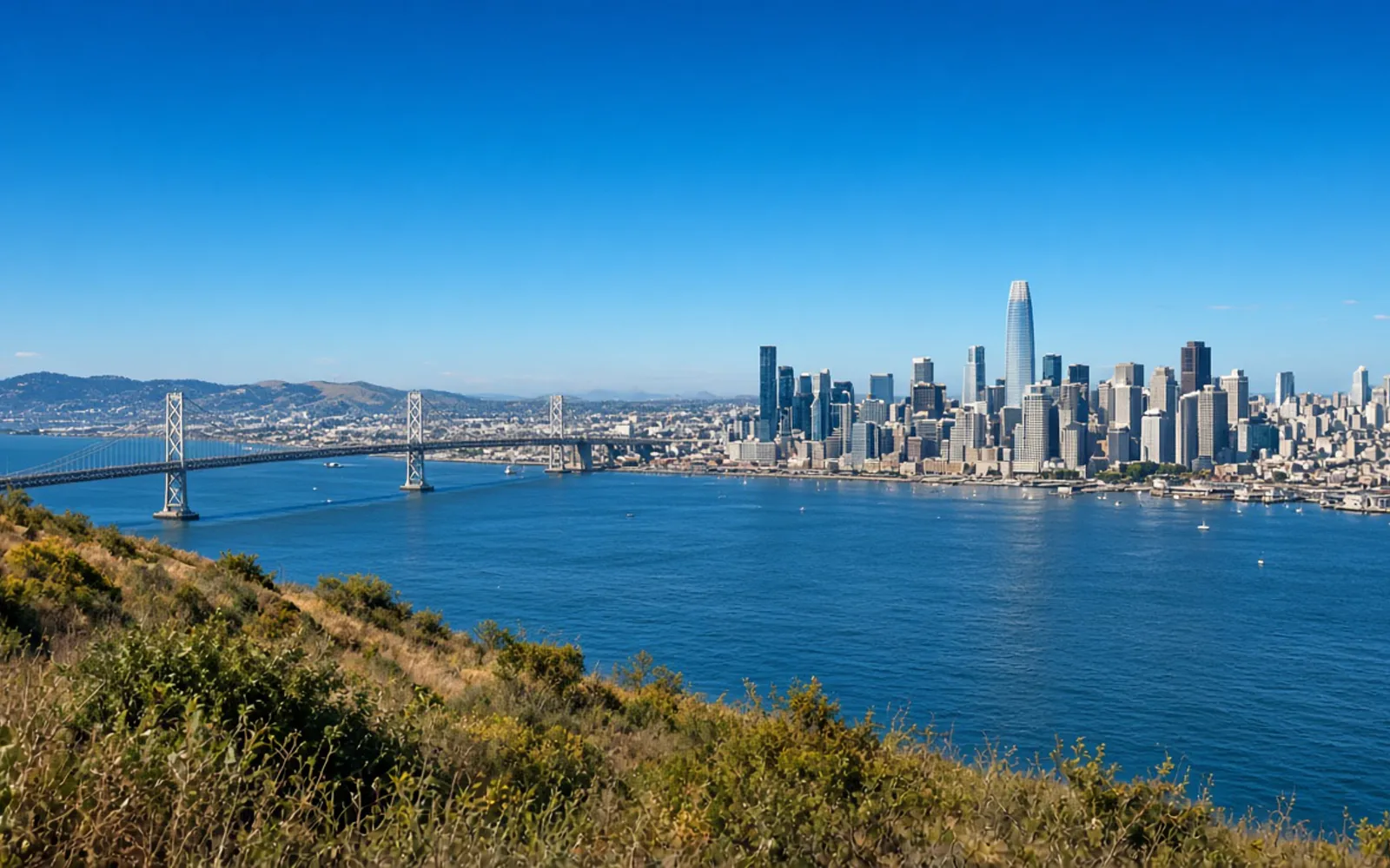 The San Francisco skyline and the Bay Bridge